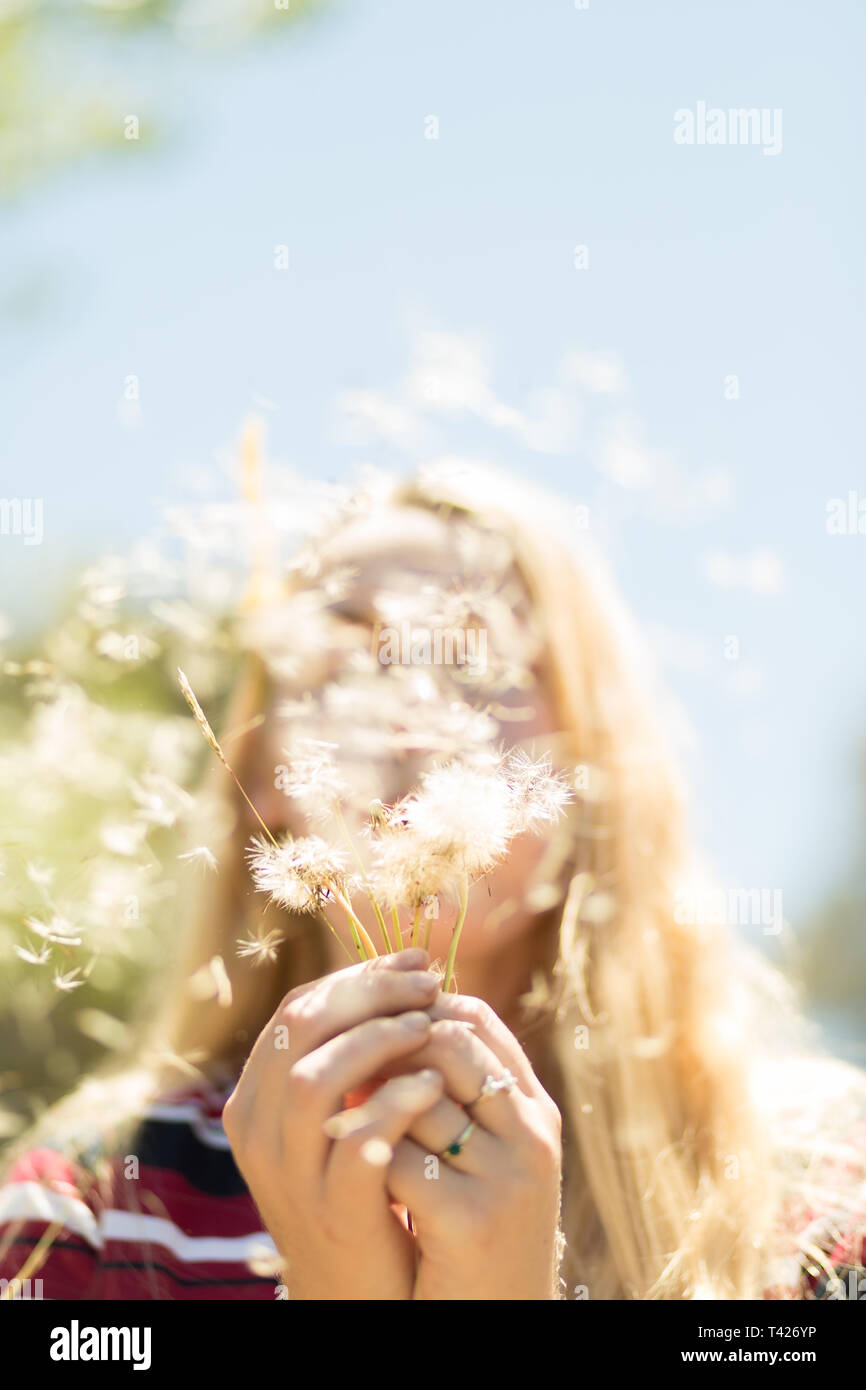 Girl blowing wish flower Stock Photo Alamy