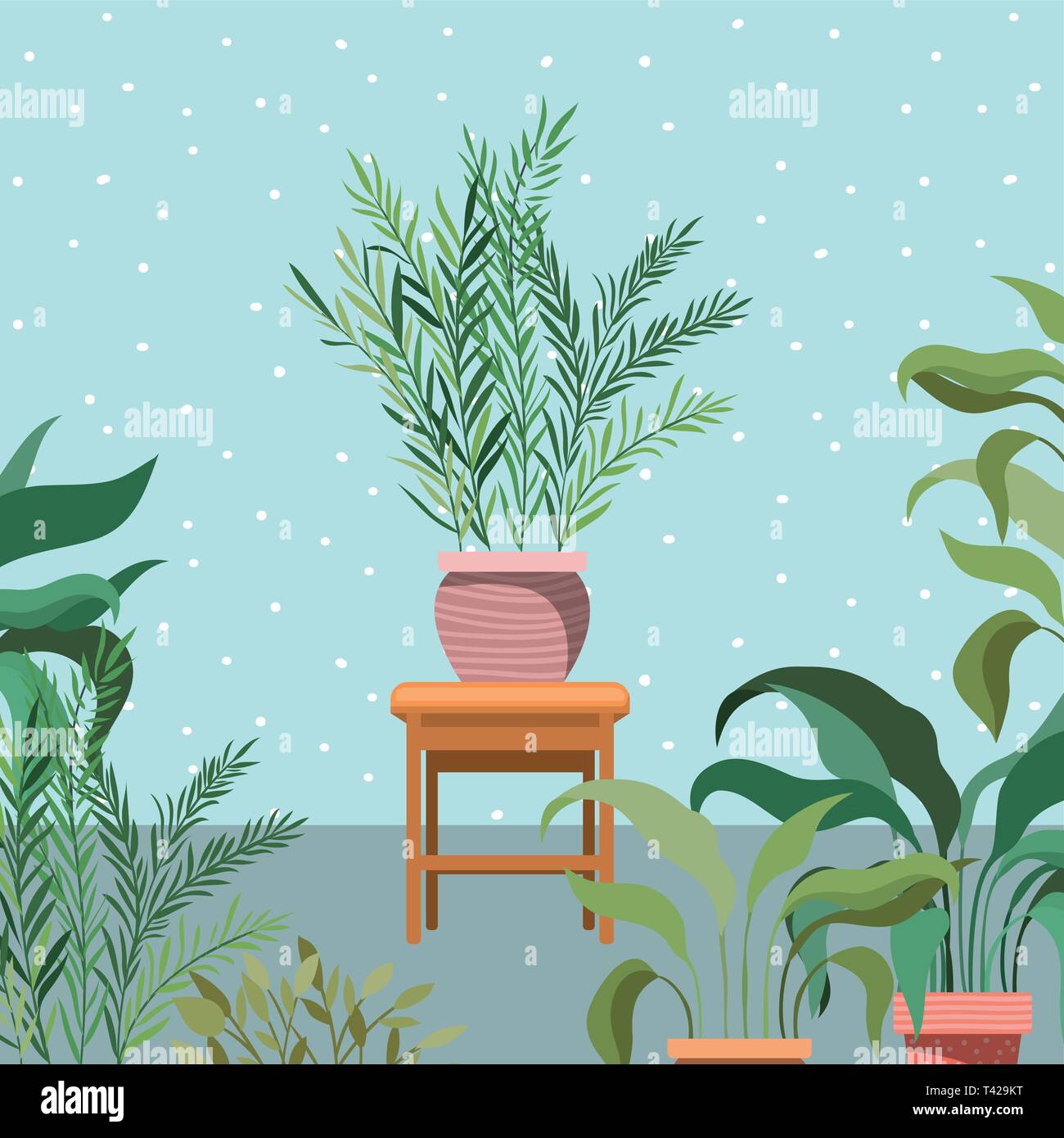 houseplants in wooden chair garden scene Stock Vector Image & Art - Alamy