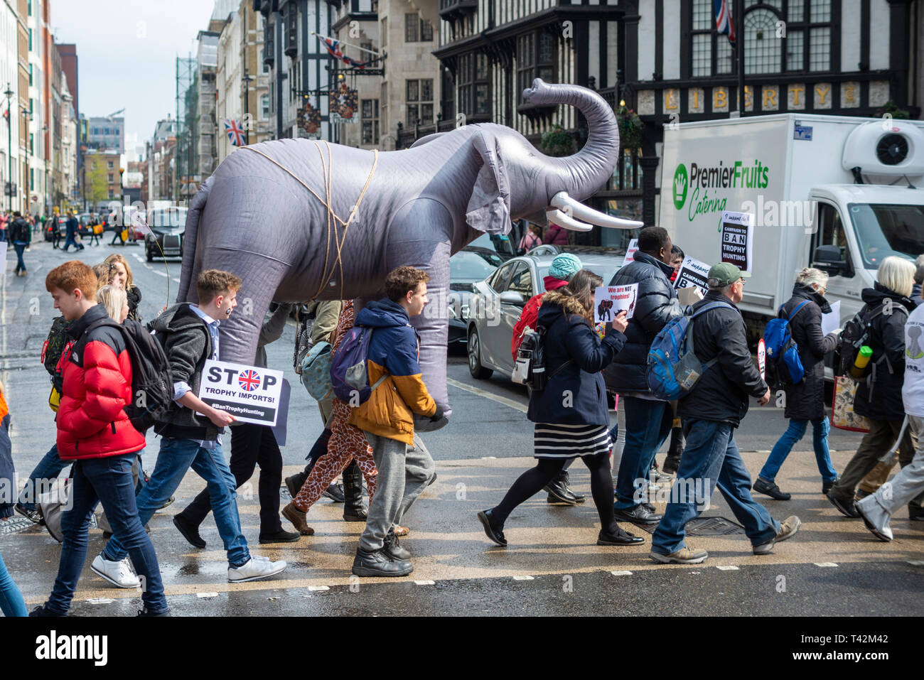 Protesters carry an inflatable elephant through streets of london at a stop trophy hunting and ivory trade protest rally, London, UK. Crossing the road Stock Photo