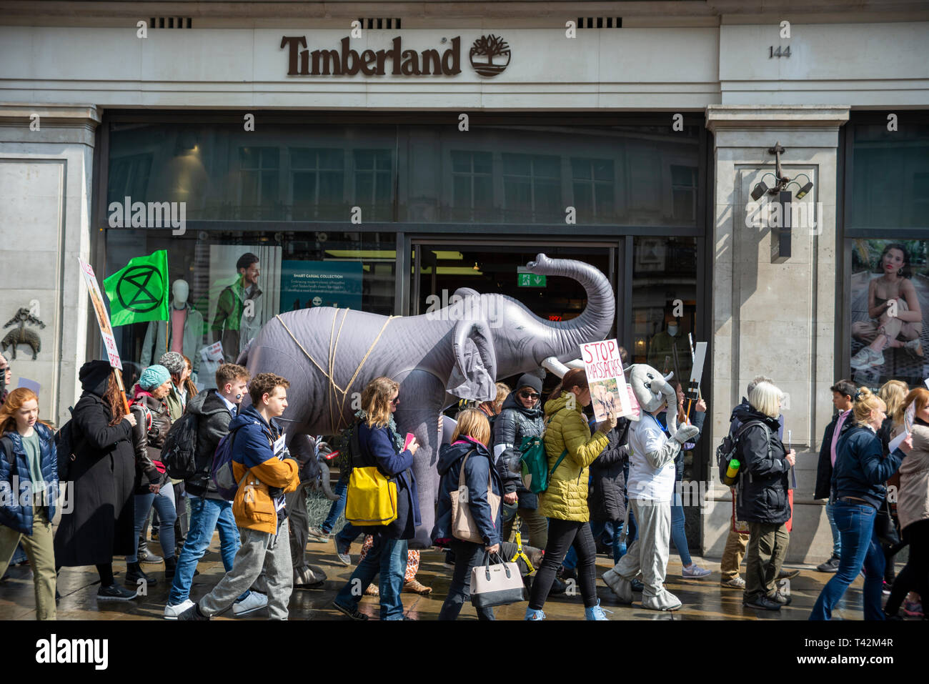 Protesters carry an inflatable elephant through streets of london at a stop trophy hunting and ivory trade protest rally, London, UK passing Timberland shop store Stock Photo