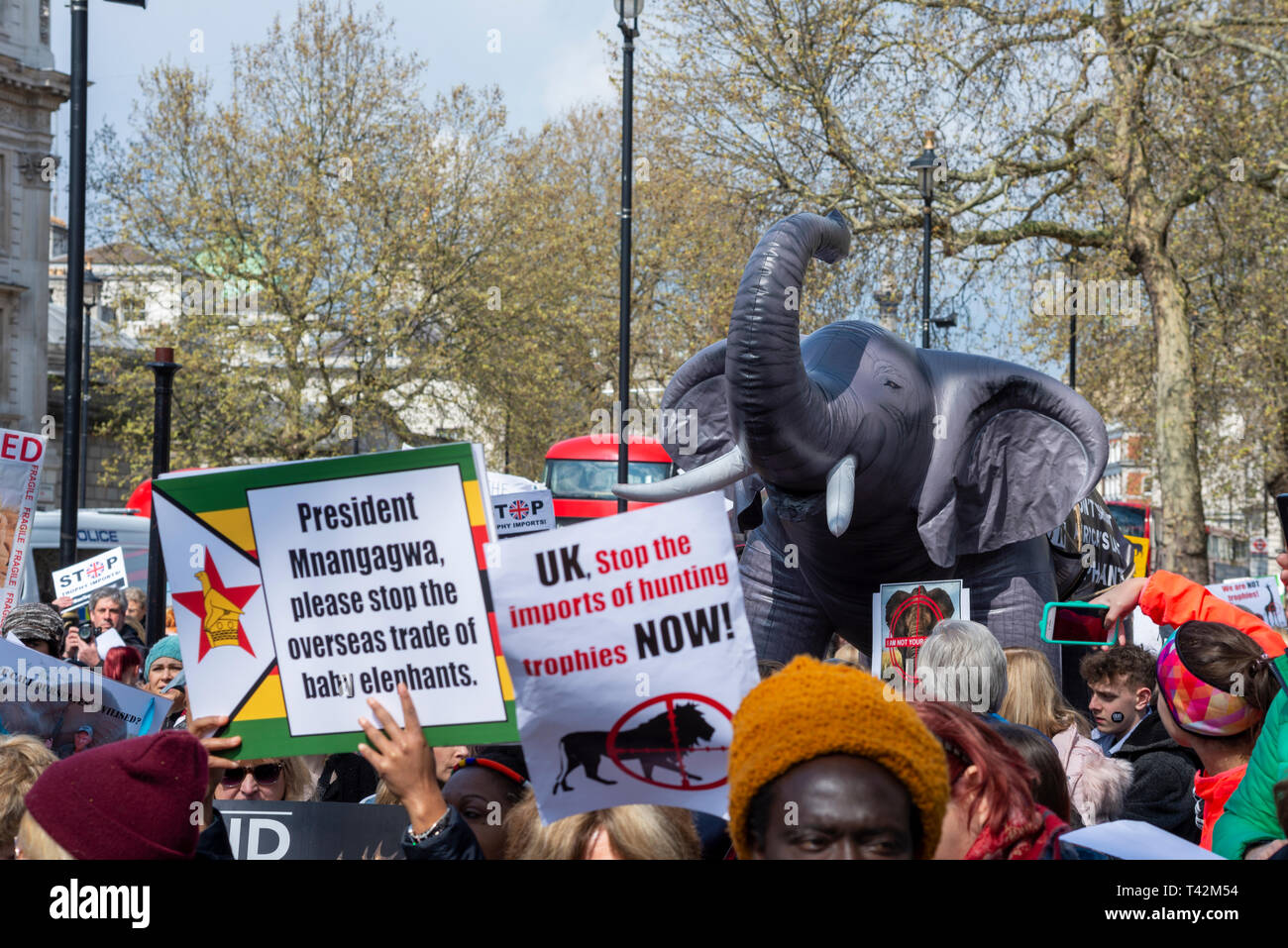 Protest march taking place in London demonstrating against the threat of extinction of wildlife and highlighting the act of trophy hunting in particular of elephants and rhinos. It is part of the 5th global march for elephants and rhinos and is timed to take place before a conference in Sri Lanka calling to uplist elephants to Appendix I Stock Photo