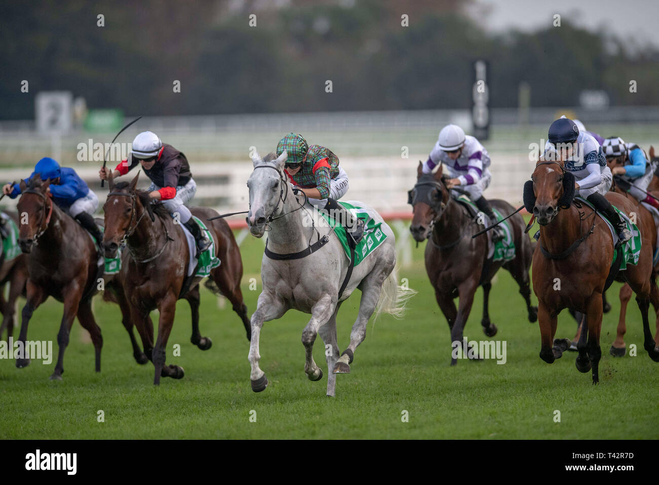 Sydney, USA. 13th Apr, 2019. ROYAL RANDWICK, SYDNEY ''“ APRIL 13: White Moss, ridden by Kathy O'Hara wins the Tab Sapphire Stakes on second day of the Championships at Royal Randwick Racecourse in Sydney. Michael McInally/Eclipse Sportswire/CSM/Alamy Live News Stock Photo