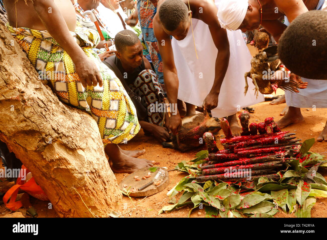 Ouidah, Benin, Voodoo festival in the center of Ouidah on 10 january