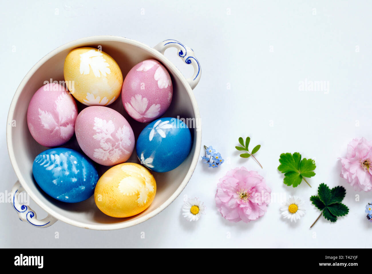 Naturally dyed easter eggs Stock Photo