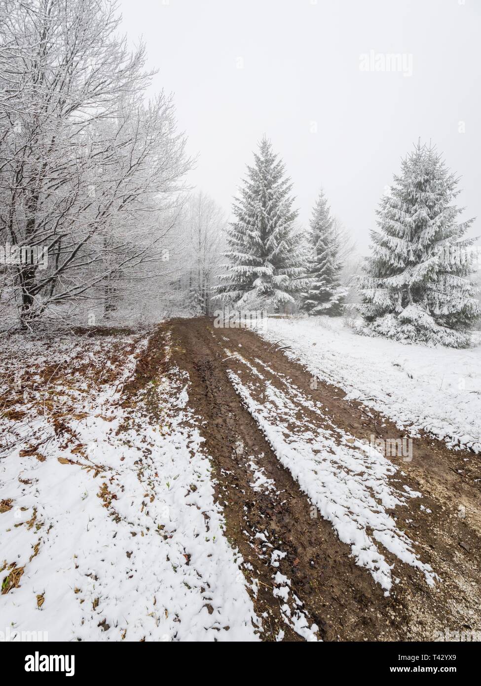 Dirty off-road country-road in early late Winter during first snow Stock Photo
