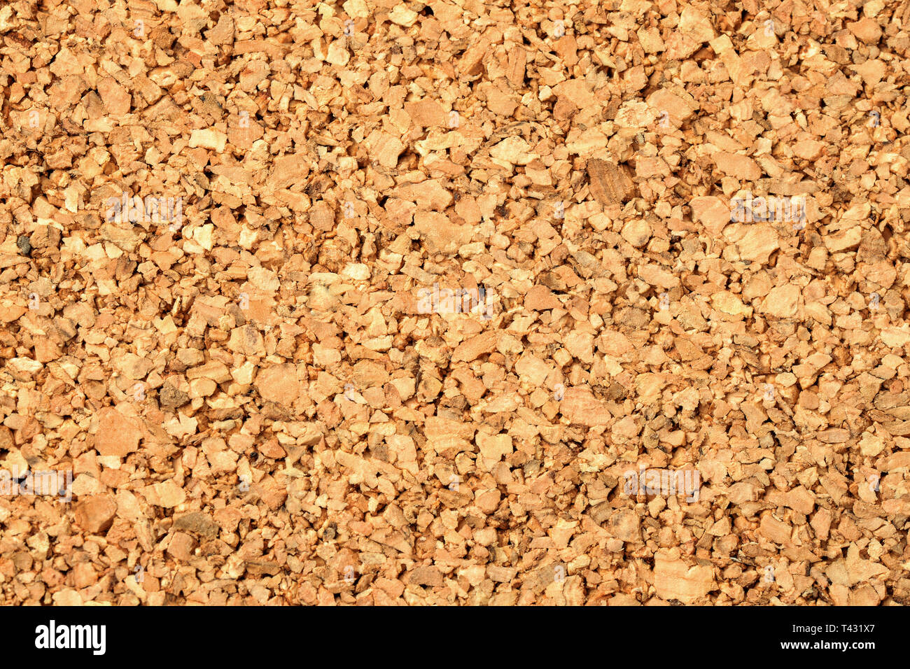 Close up of empty natural cork board texture Stock Photo