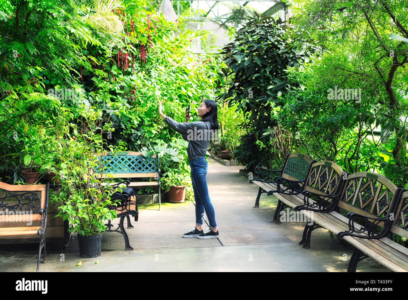 A Chinese Woman Taking Pictures Inside Of A Tropical Greenhouse In