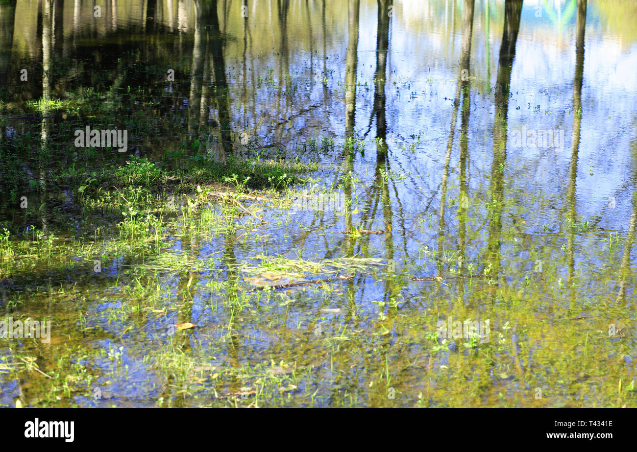 Spring Puddle Pictures April puddle in spring hi-res stock photography and images - Alamy
