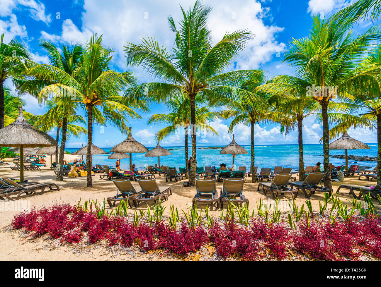 Mauritius scenery hi-res stock photography and images - Alamy
