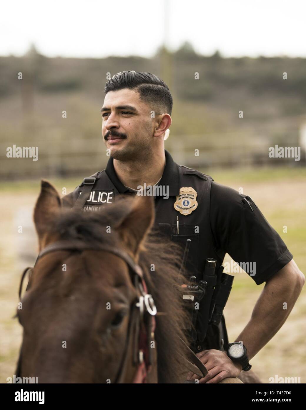 Staff Sgt. Bert Mantilla, 30th Security Forces Squadron conservation patrolman, rides Military Working Horse 'Trooper' Feb. 21, 2019, at Vandenberg Air Force Base, Calif. Trooper is a 14 year old American quarter horse who entered active duty in 2010 and helps to patrol 99,600 acres of hard to reach Vandenberg with his patrolman. Stock Photo