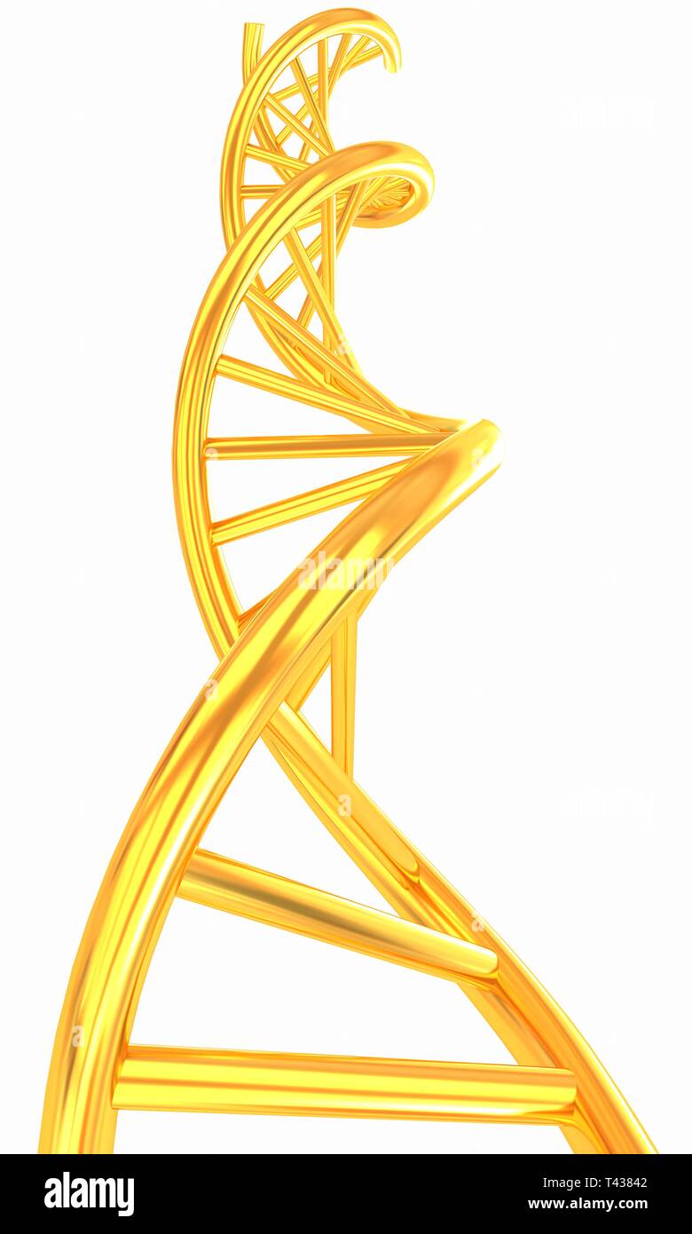 DNA structure model on white Stock Photo - Alamy