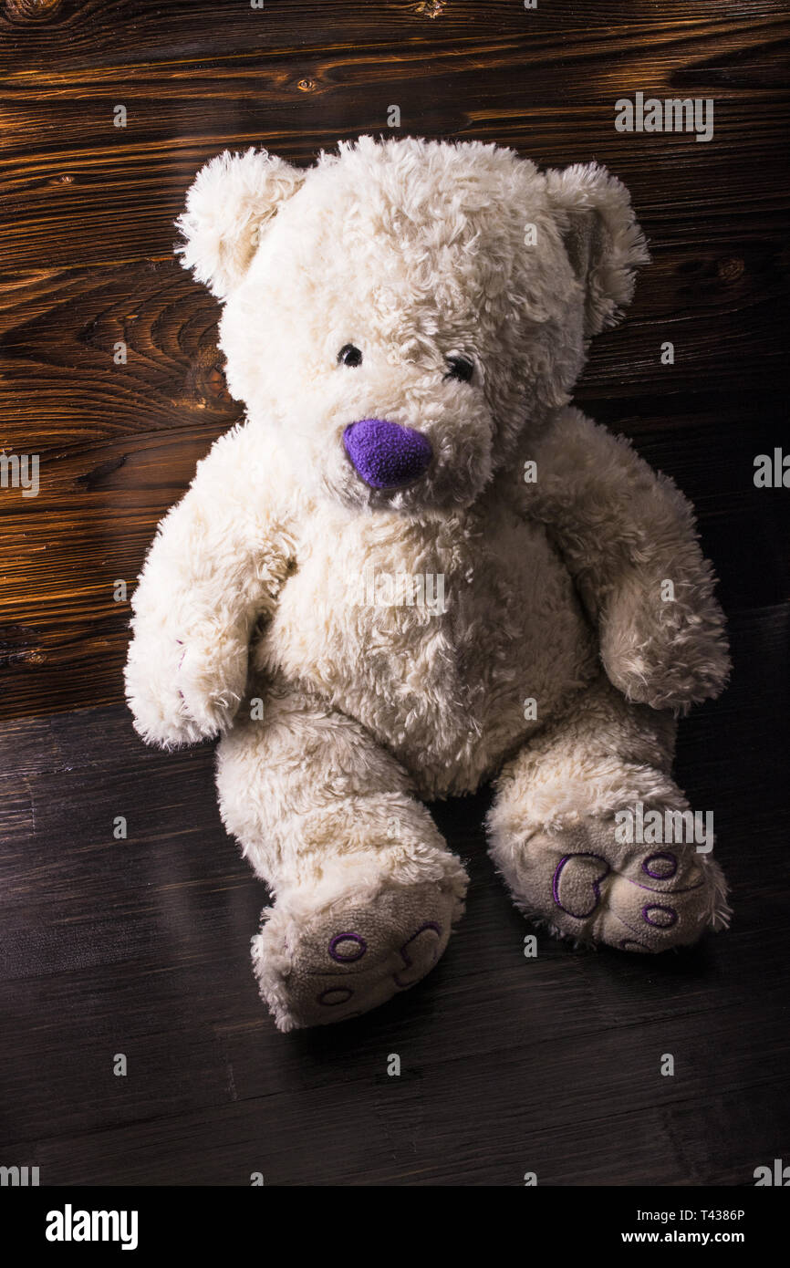 dark purple teddy bear