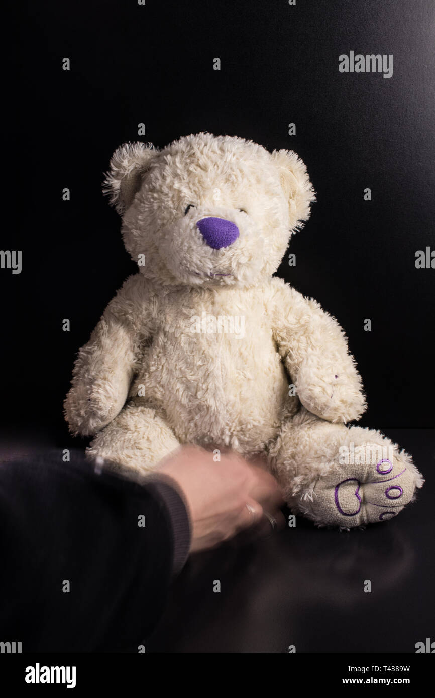 dark purple teddy bear