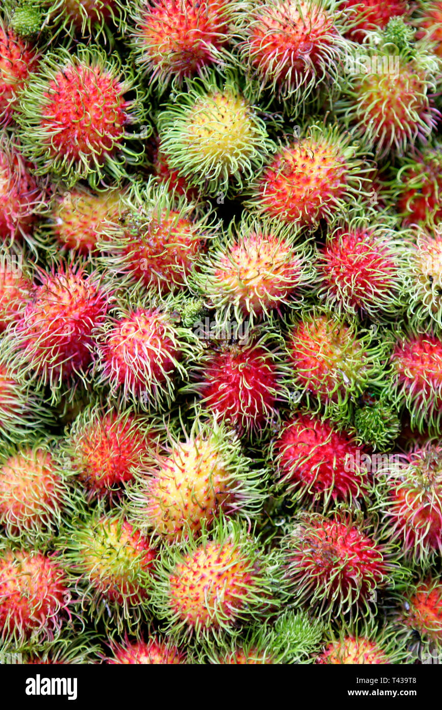Rambutan tropical fruit, Nephelium lappaceum on a market in Thailand ...