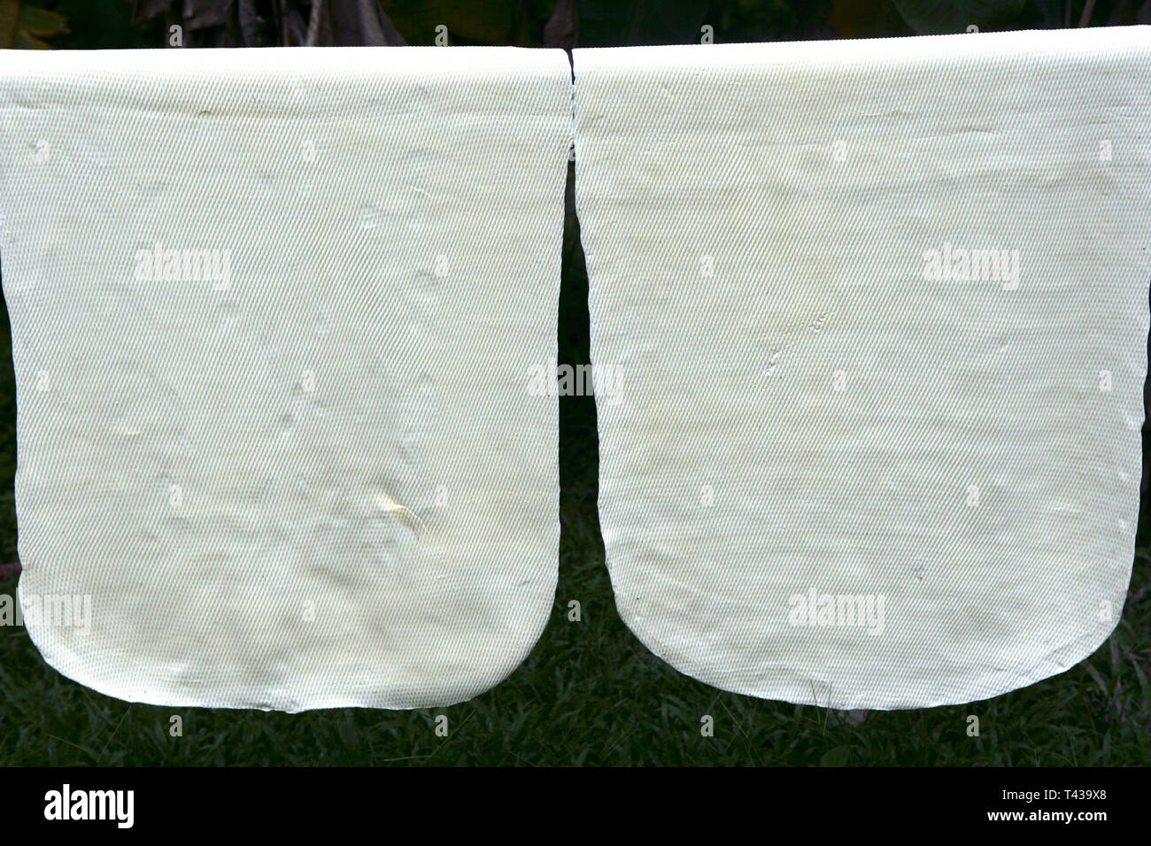 Dry rubber sheets hung from natural rubber, Krabi, Thailand, Southeast Asia, Asia Stock Photo