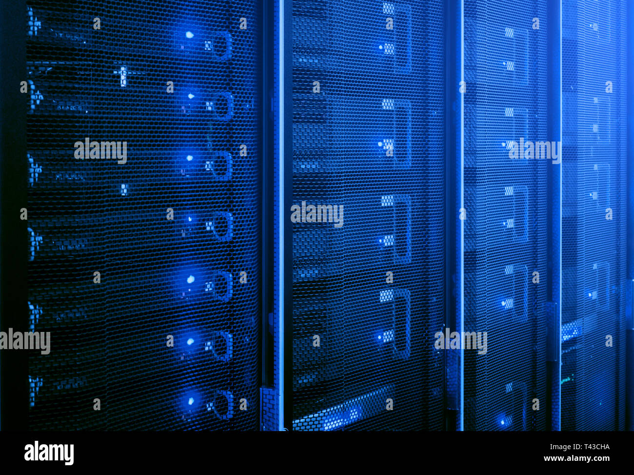 Web Network Internet Telecommunication Technology Big Data