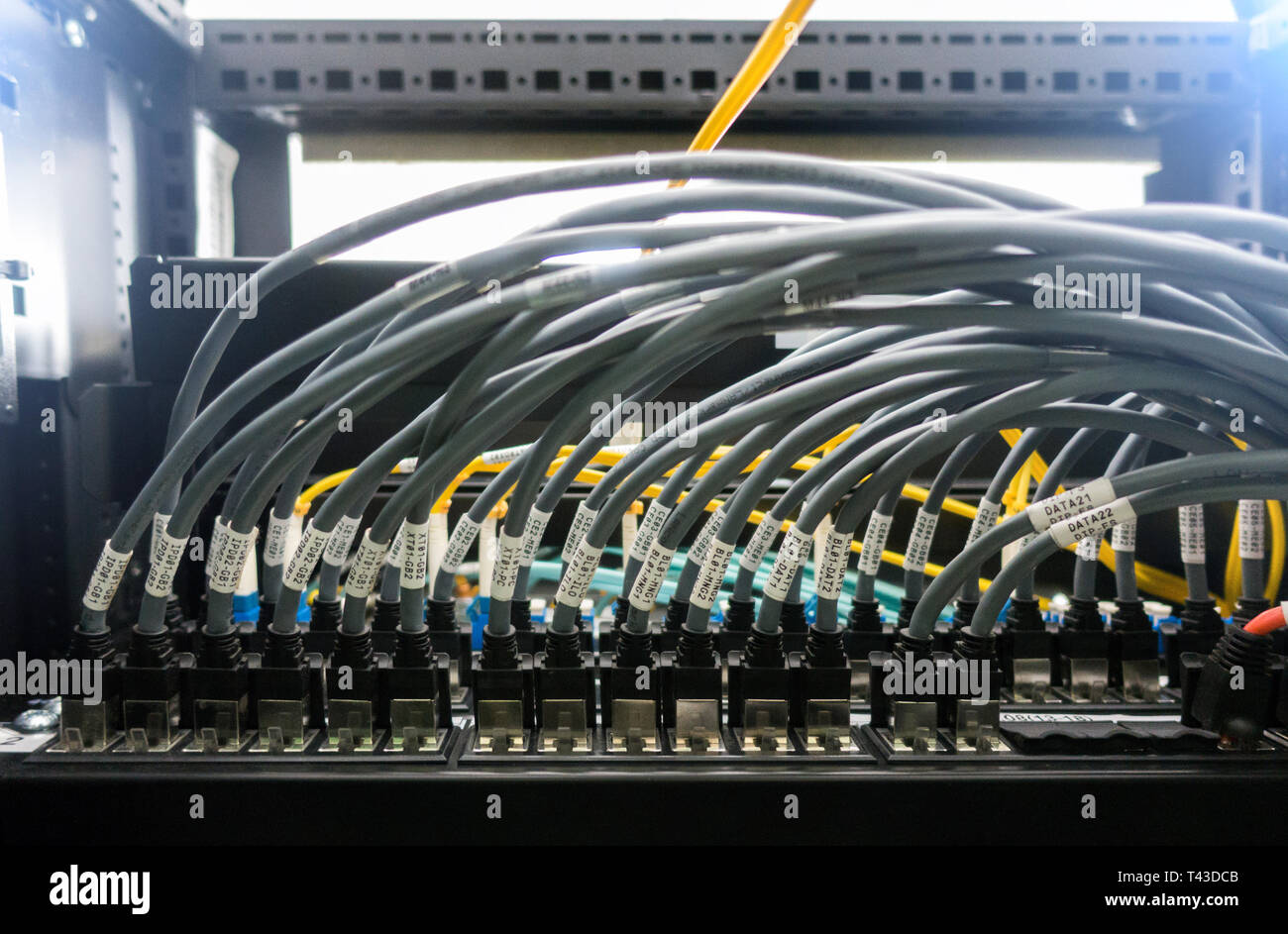 Rack Mounted Servers In A Server Room, Server rack audio cable. Severs  computer in a rack at the large data center Stock Photo - Alamy