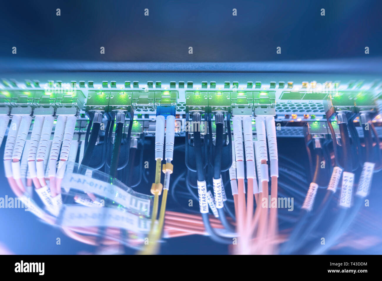 Rack Mounted Servers In A Server Room, Server rack audio cable. Severs