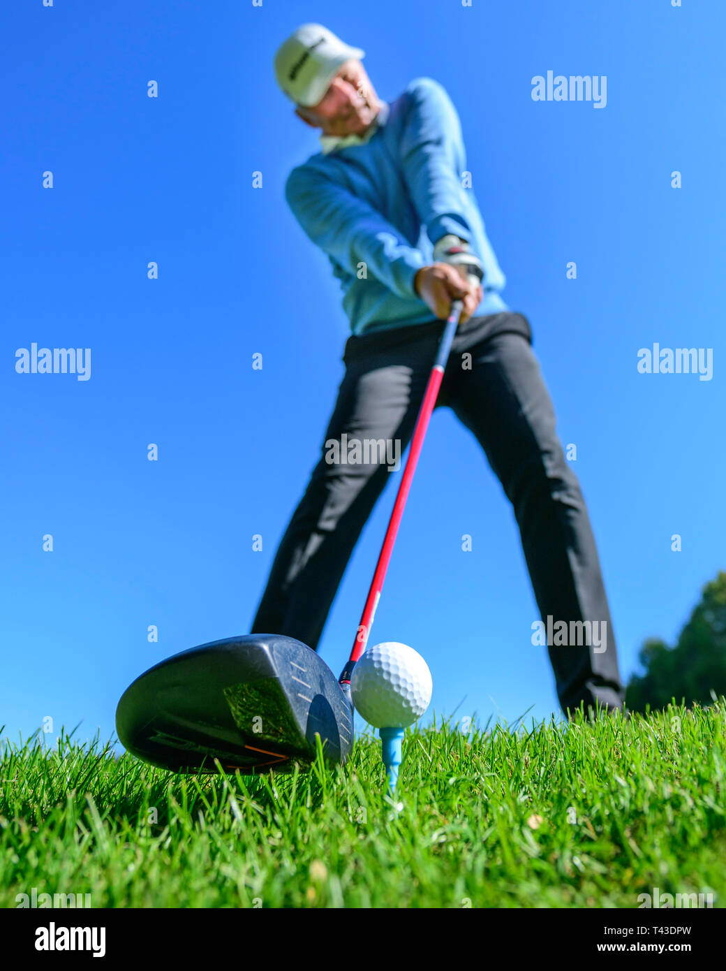Golf player hitting a ball with driver Stock Photo Alamy