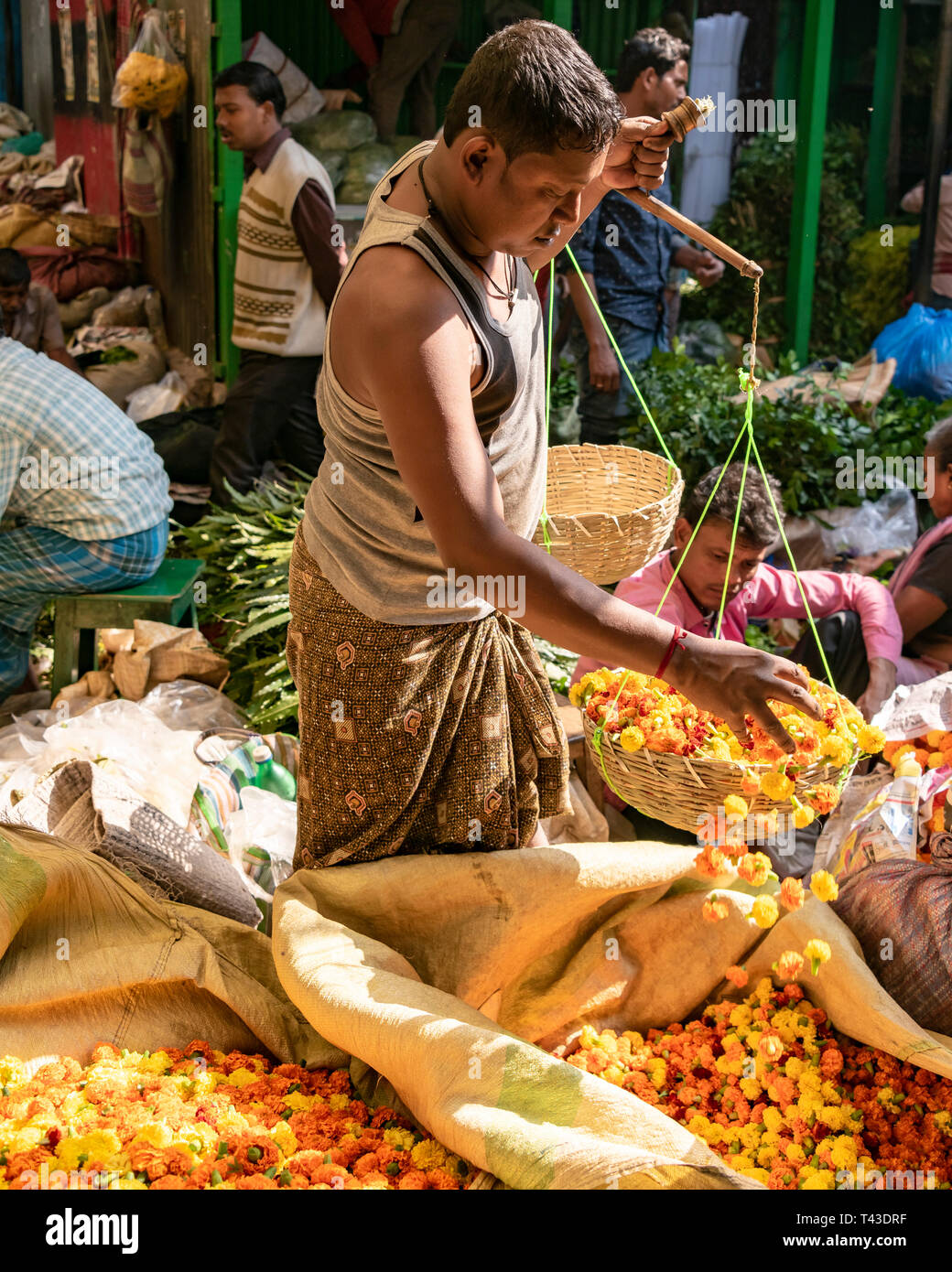 Vertical portrait of a worker at Mullik Ghat flower market in Kolkata aka Calcutta, India. Stock Photo