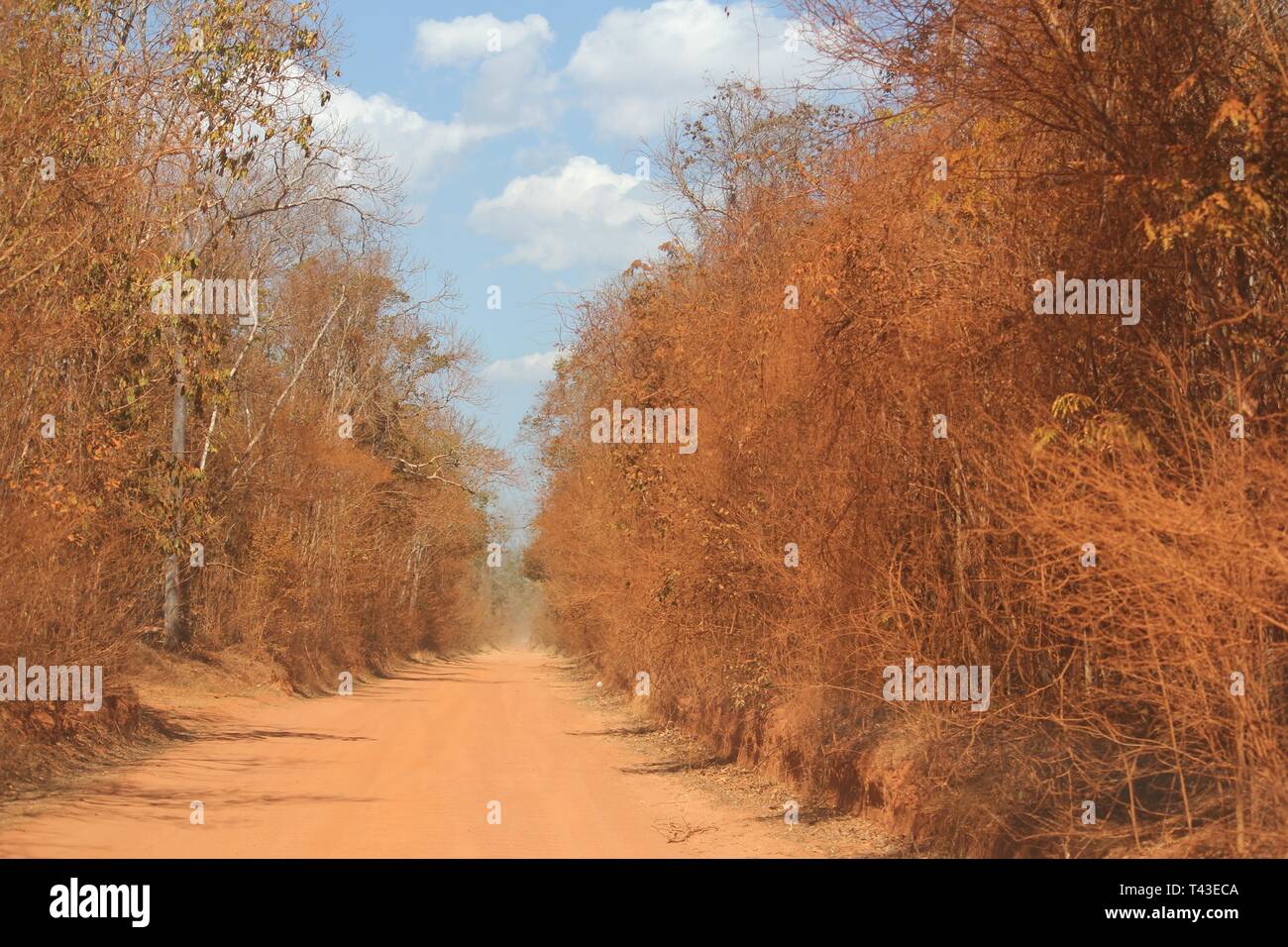 Desert road, Madagascar, Belo sur Tsiribihina Stock Photo