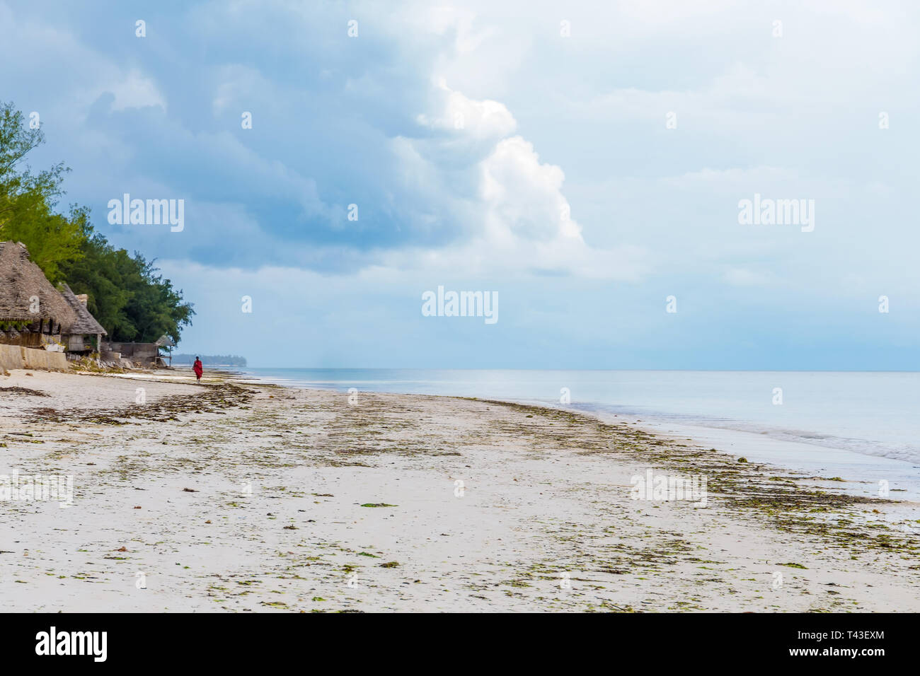 Deserted ocean beach with a lonely figure in the distance. Blue water and blue sky, no clouds. Stock Photo