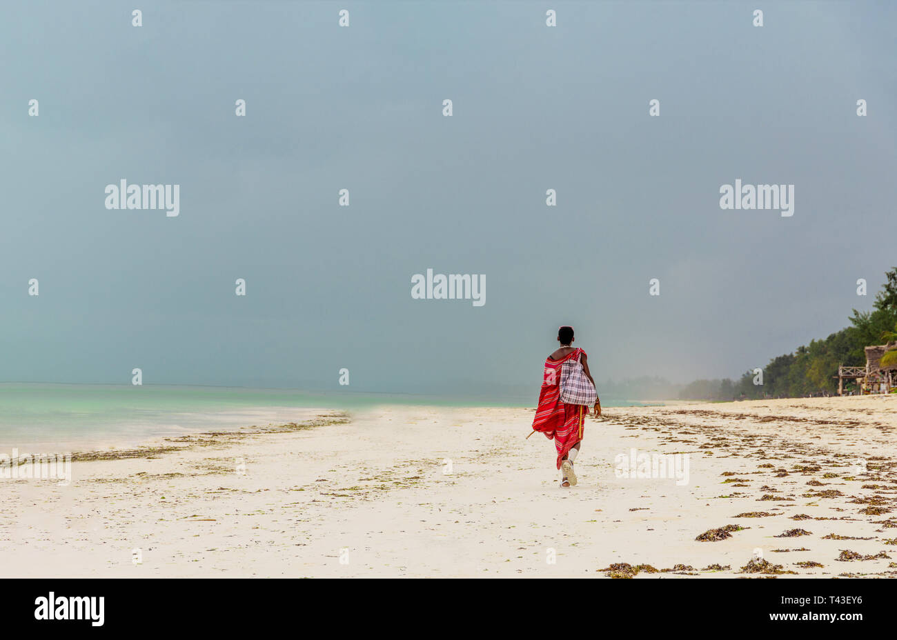one unrecognizable man goes into the distance on the ocean ohland and carries a bag on his shoulderwhite bag, alone Stock Photo