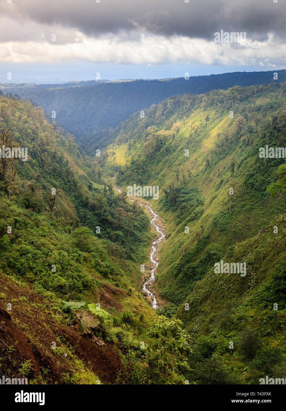 Scenic view of a ravine with a creek in central Costa Rica Stock Photo