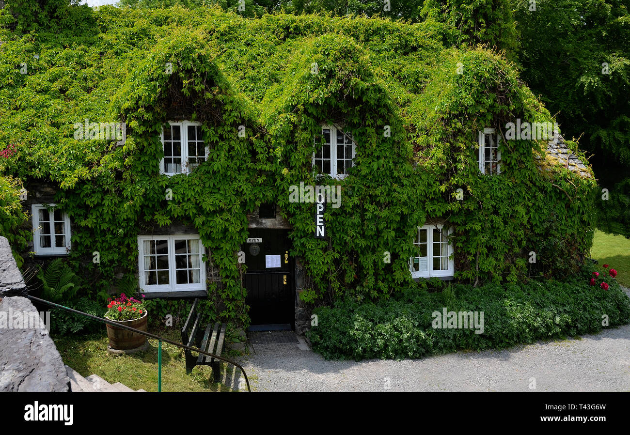 Llanrwst Tea Room High Resolution Stock Photography and Images Alamy
