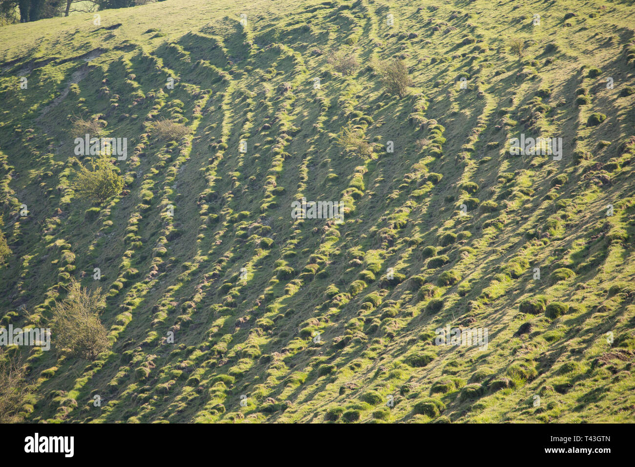 Uk terracettes hi-res stock photography and images - Alamy