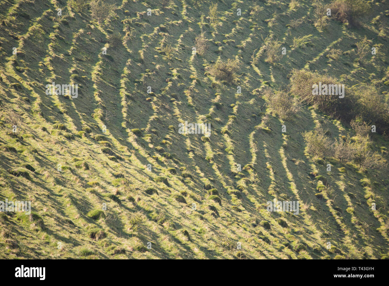 Soil slippage hi-res stock photography and images - Alamy