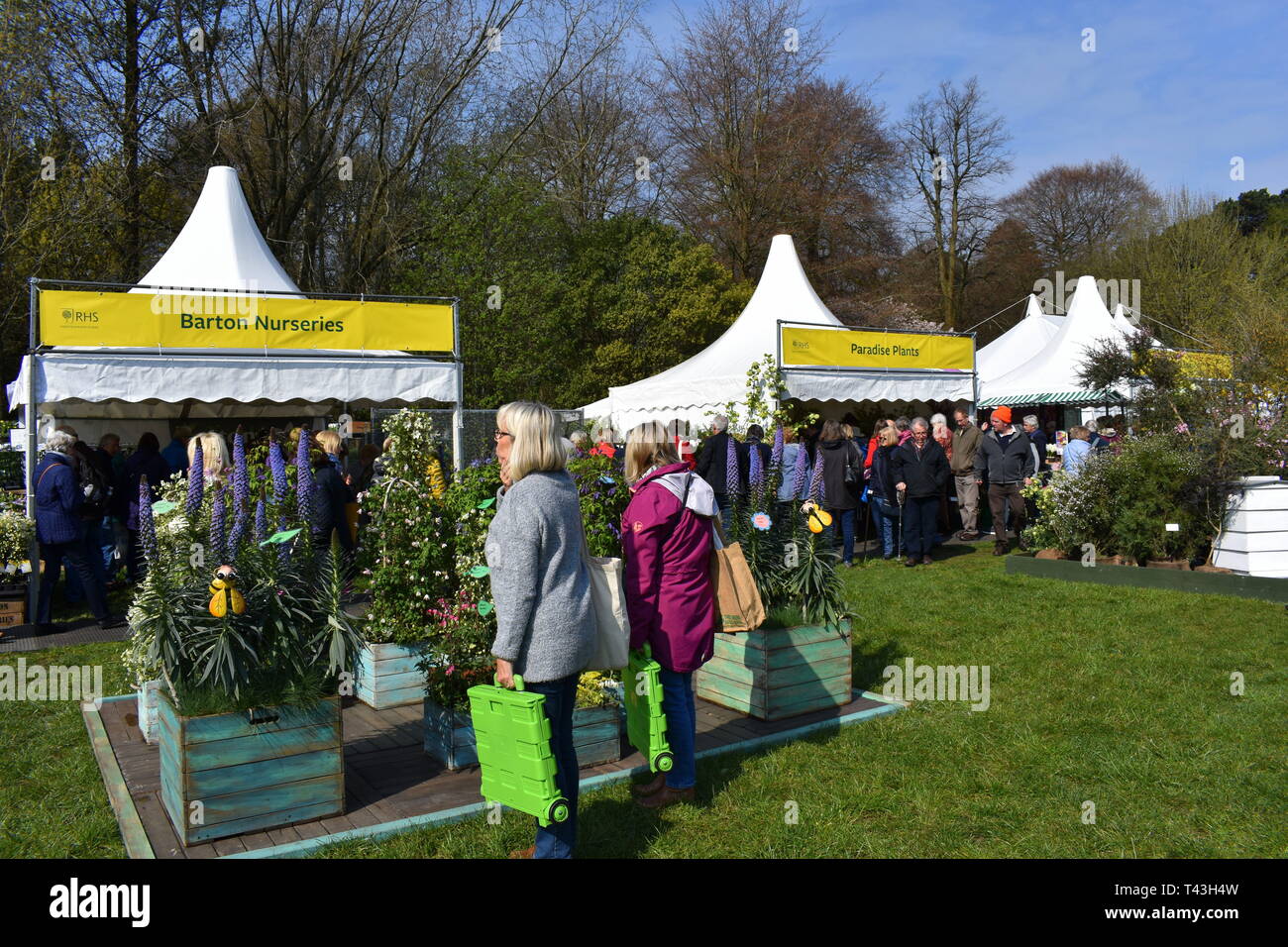 Visitors admiring the displays at the RHS Cardiff flower show, Cardiff