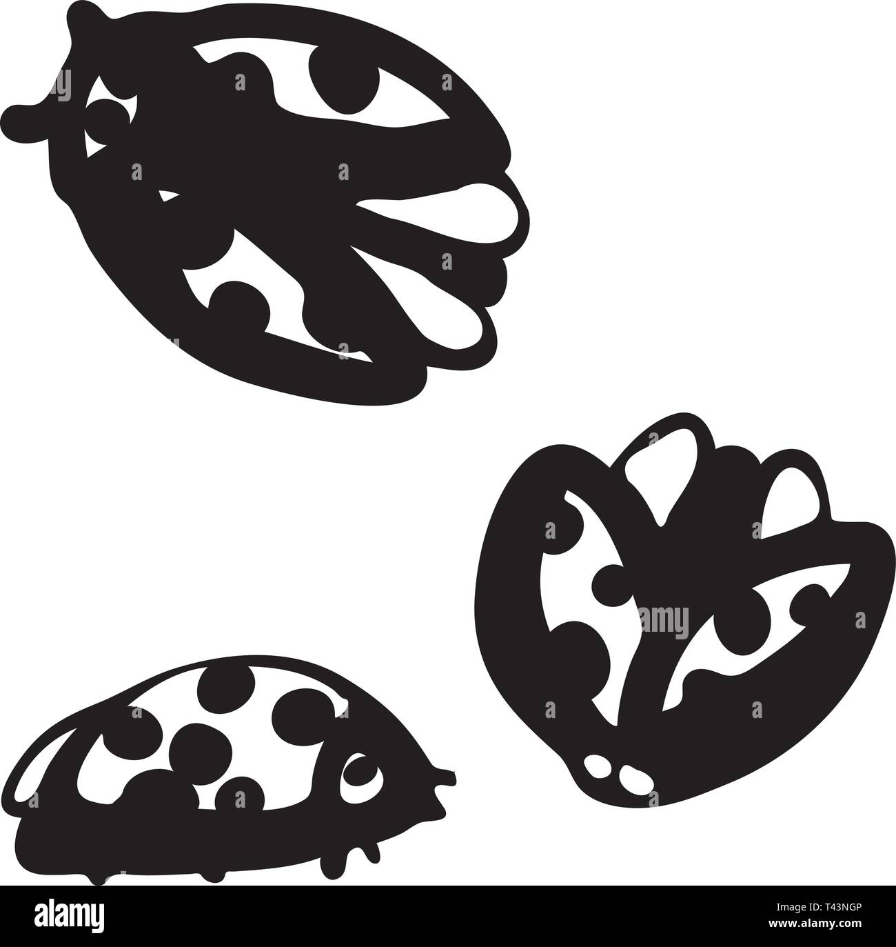 Set of hand drawn ladybugs. Vector ladybirds collection Stock Vector