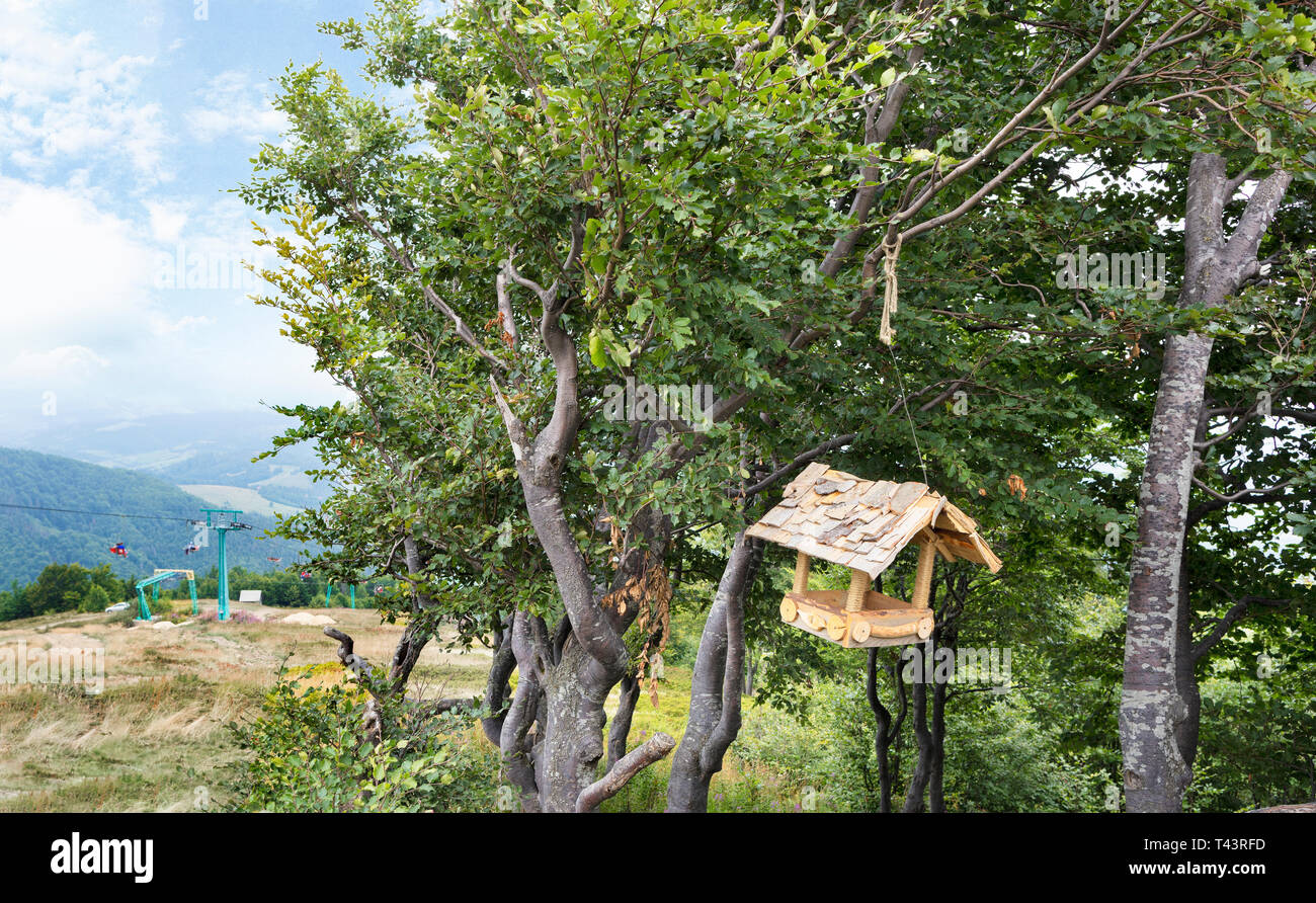 At The Top Of The Mountain In The Branches Of A Tree Hangs A