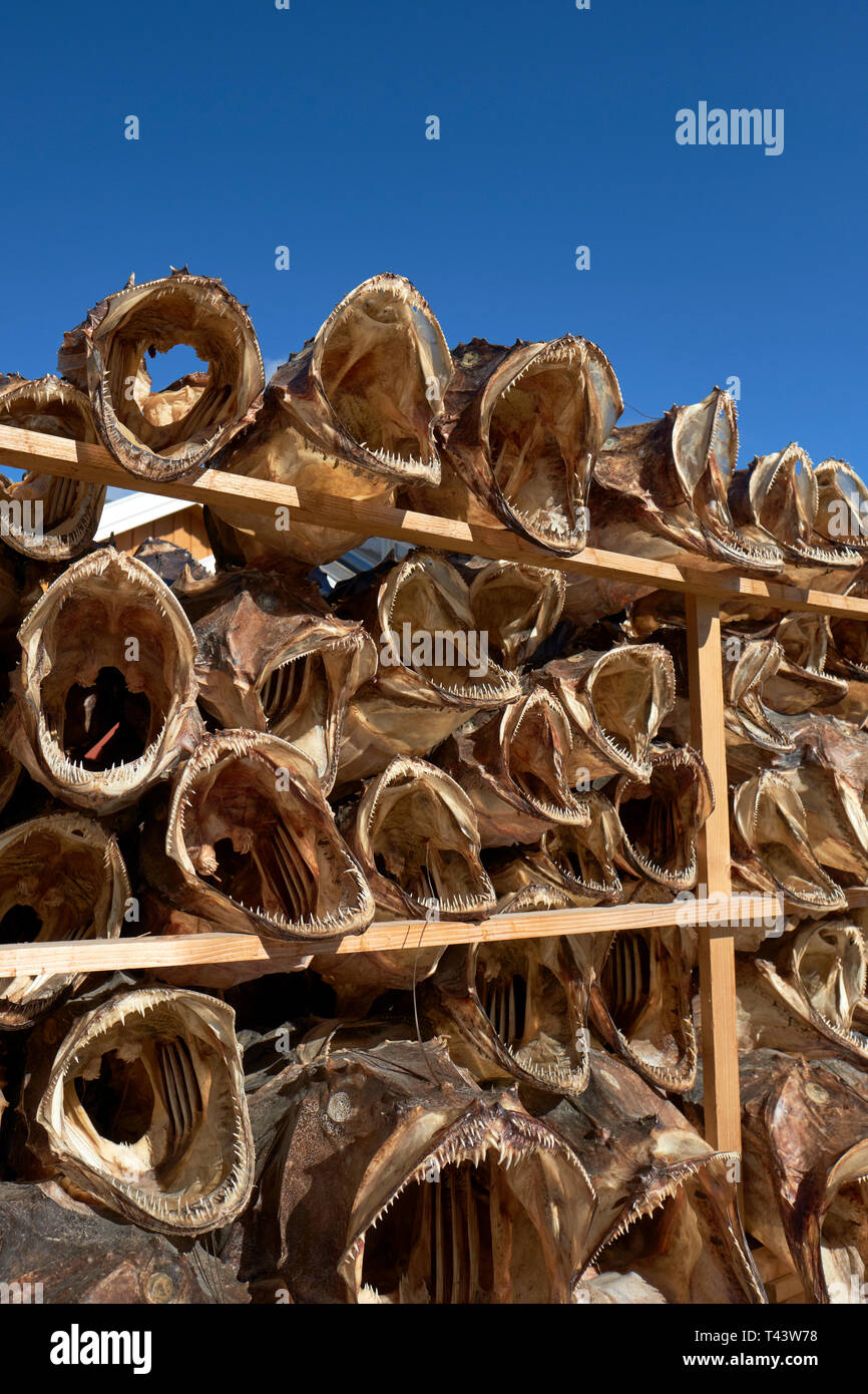 Dreid Fish Rack Souvenir dried fish hi-res stock photography and images - Alamy