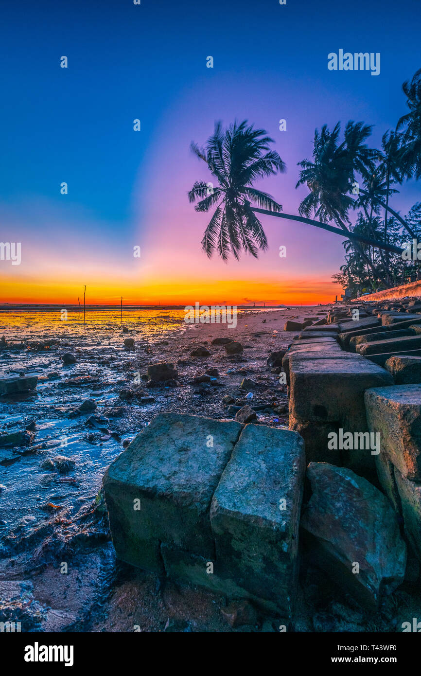 early morning under a coconut tree, nongsa districts, batam city, indonesia Stock Photo