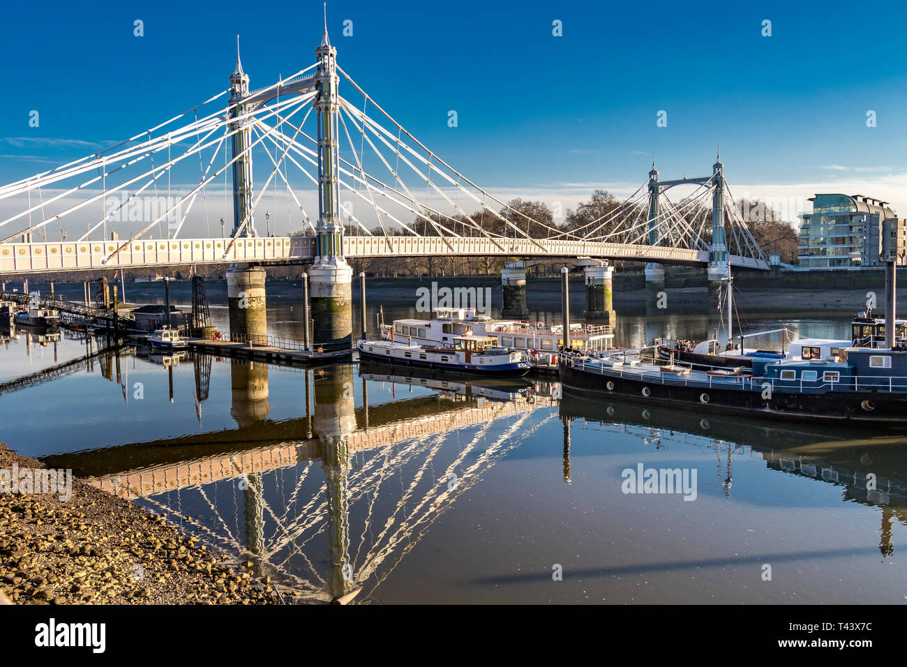 Albert Bridge ,built in 1873, connects Chelsea in Central London on the north bank , to Battersea on the south side ,London ,UK Stock Photo