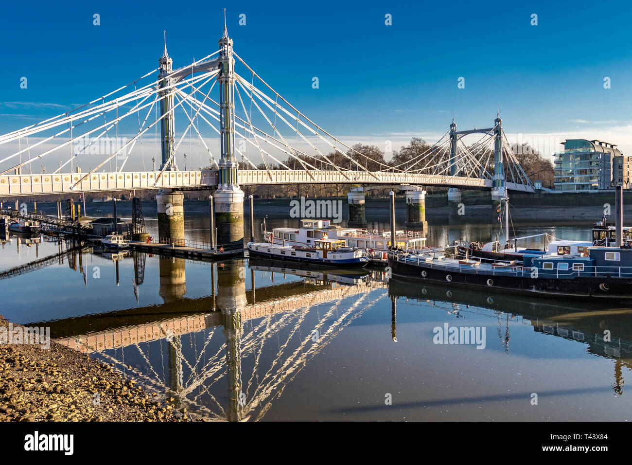 Albert Bridge ,built in 1873, connects Chelsea in Central London on the north bank , to Battersea on the south side ,London ,UK Stock Photo