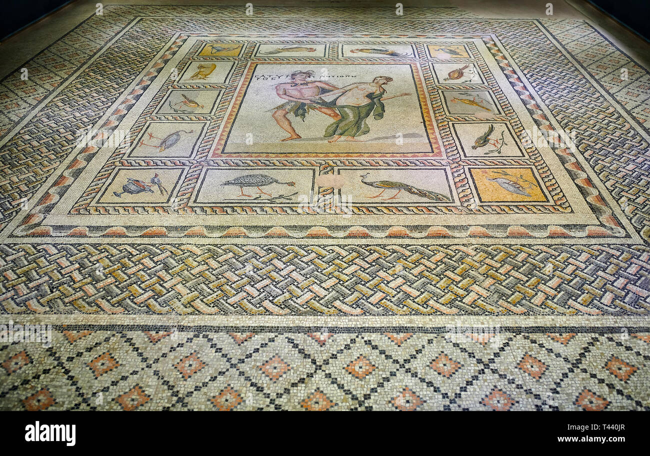 Roman mosaics - Satyros & Antiope Mosaic. Poseidon Villa Ancient Zeugama, 2nd - 3rd century AD . Zeugma Mosaic Museum, Gaziantep, Turkey. Stock Photo