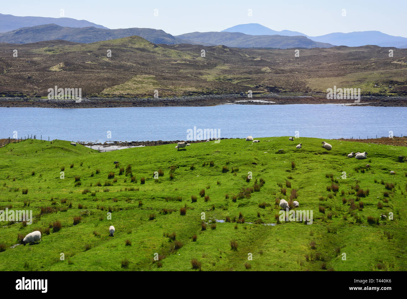 The Machair landscape in central Lewis, Isle of Lewis, Outer Hebrides, Na h-Eileanan Siar, Scotland, United Kingdom Stock Photo