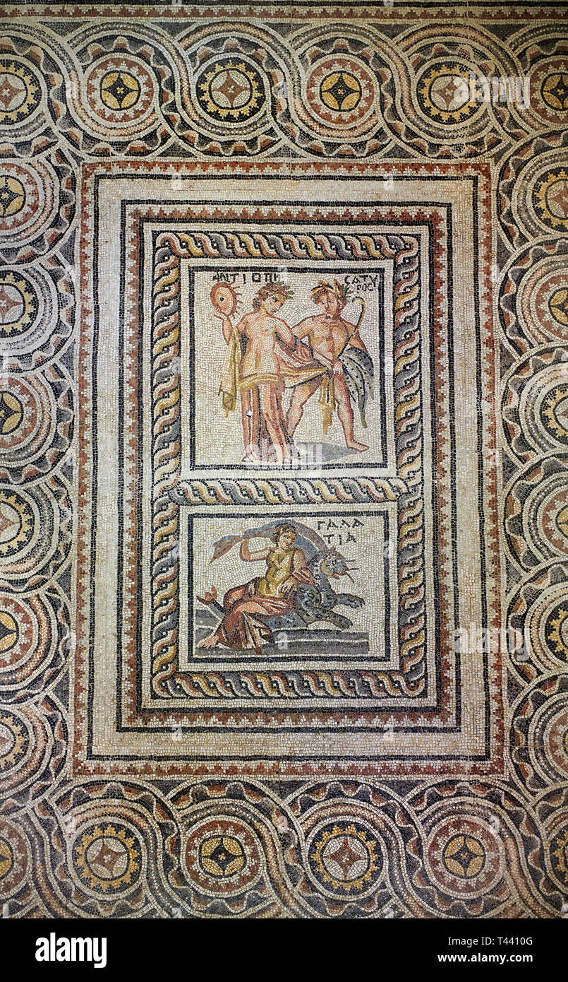 Roman mosaics - Satyros, Antiope & Galatia Mosaic. Poseidon Villa Ancient Zeugama, 2nd - 3rd century AD . Zeugma Mosaic Museum, Gaziantep, Turkey. Stock Photo