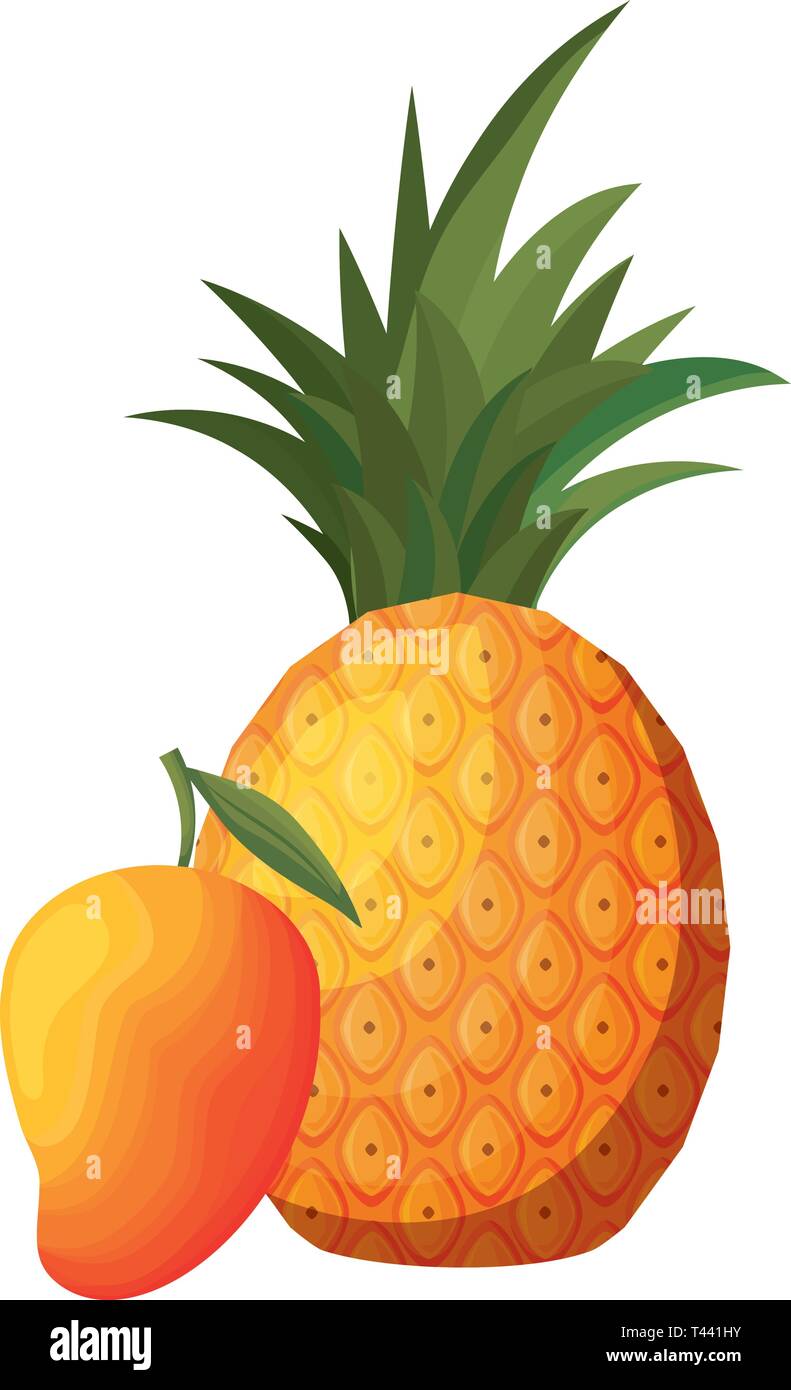 fresh pineapple with mango fruits vector illustration design Stock ...
