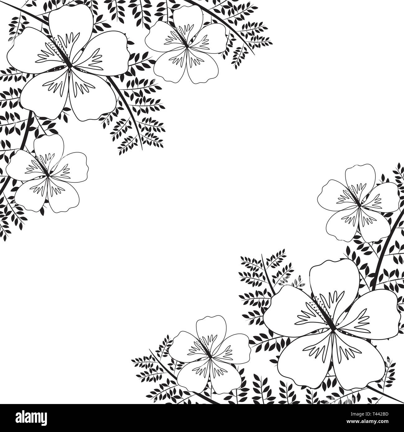 frame of beautiful flowers with branches and leafs vector illustration ...
