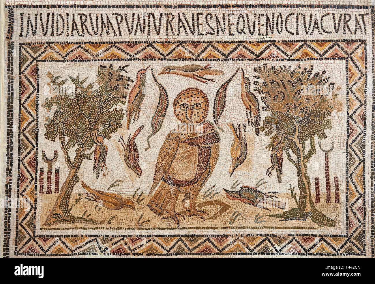 Picture of a Roman mosaics design depicting an owl, symbol of victory over envy. On either side of the Owl are symbols of Telegenii an North African R Stock Photo