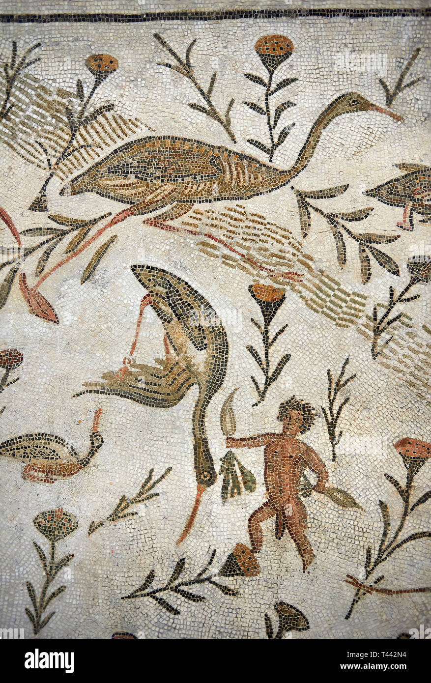 Picture of a Roman mosaics design depicting a Nile scene with birds and pigmies, from the ancient Roman city of Thysdrus, Bir Zid area. 2nd century AD Stock Photo