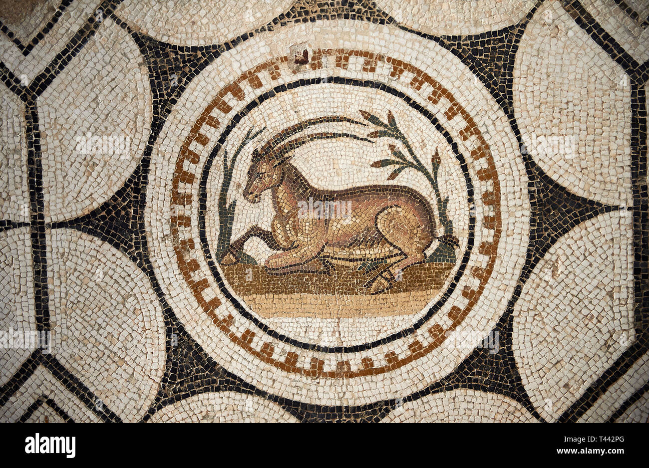 Picture of a Roman mosaics design depicting animals charmed by