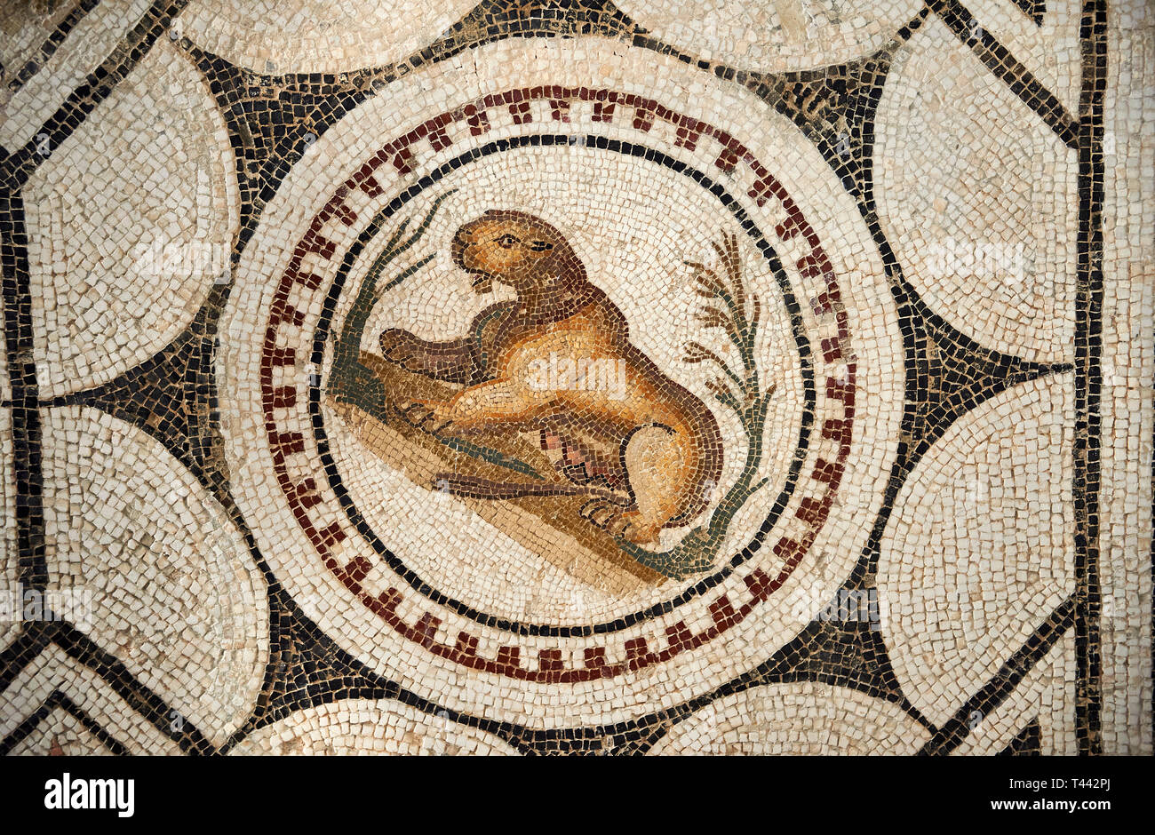 Picture of a Roman mosaics design depicting animals charmed by music ...