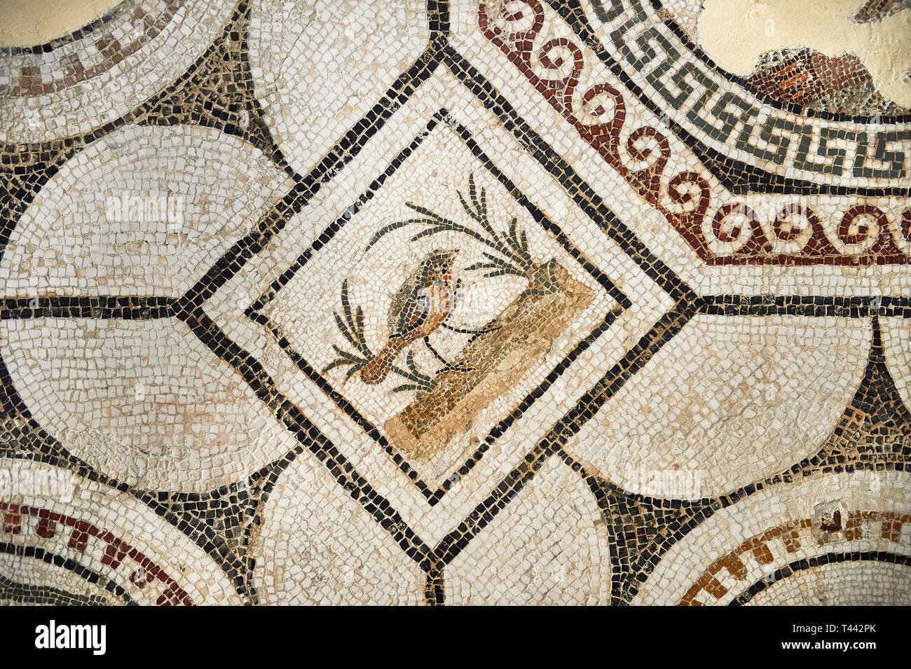 Picture Of A Roman Mosaics Design Depicting A Bird Charmed By Music ...