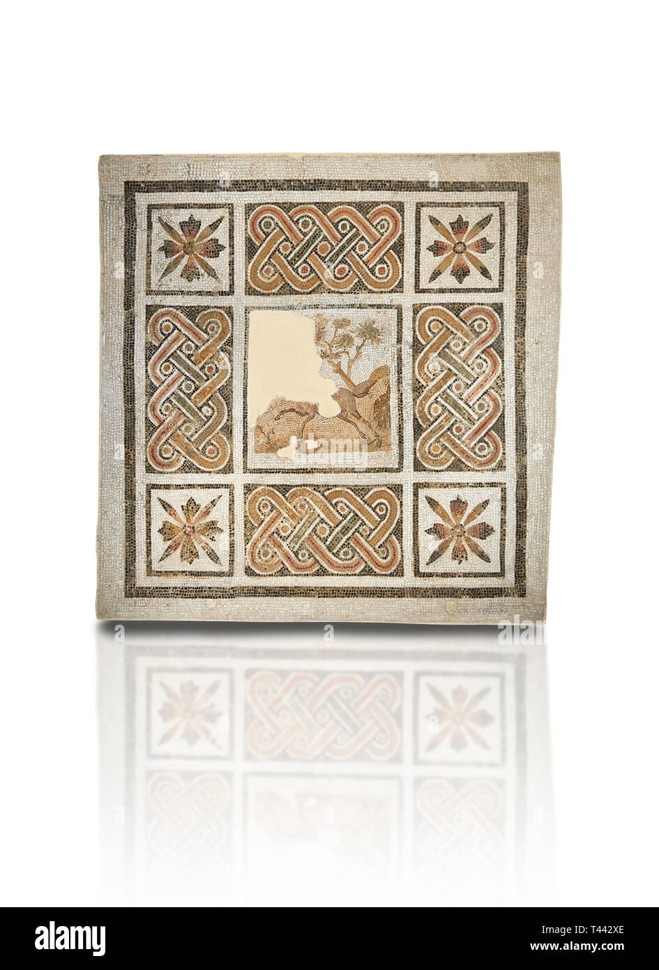 Pictures of a geometric Roman mosaics with strap work and cruciform flowers and in the centre a damaged depiction of a running deer, from the ancient  Stock Photo