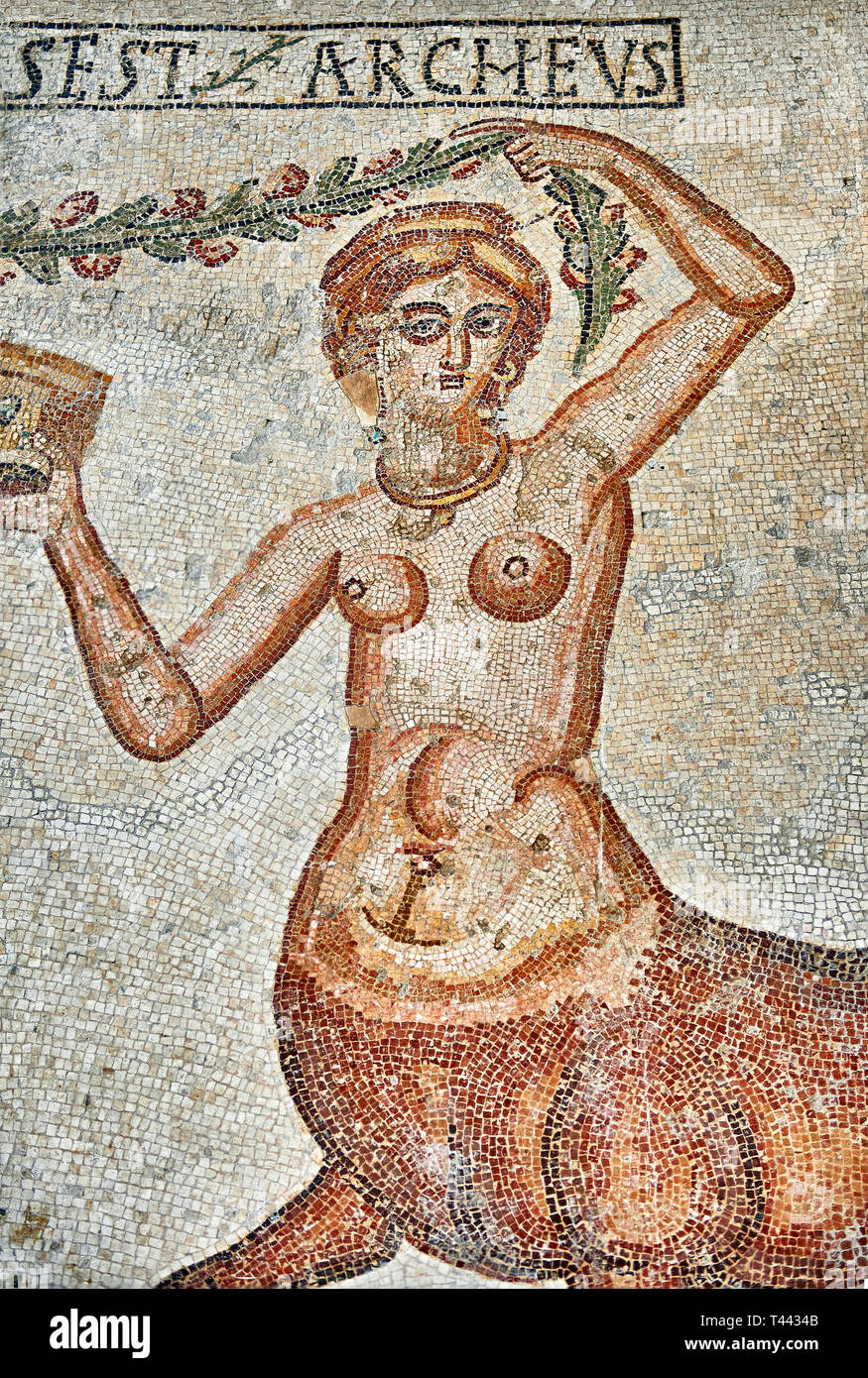 4th century Roman mosaic panel of the Goddess Venus from Ulules (Elles), Tunisia. Venus of Aphrodite is accompanied by 2 female centaurs, half women h Stock Photo
